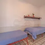 Quadrilocale - Goelba شقة Capo D'arco